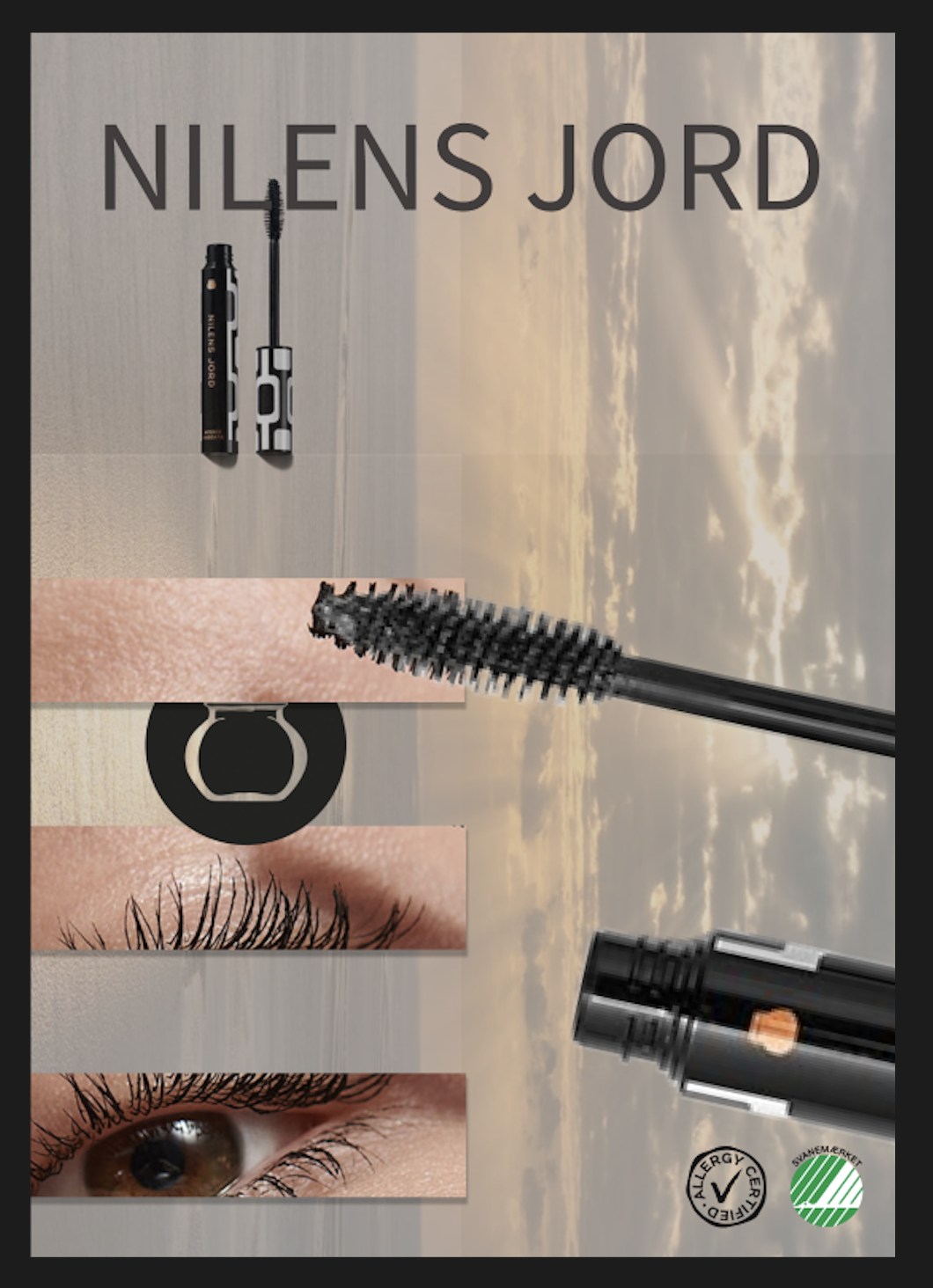 Poster 7